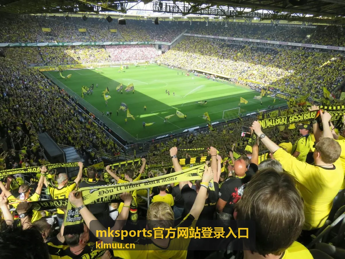 mksports官方网站登录入口页面内容配图