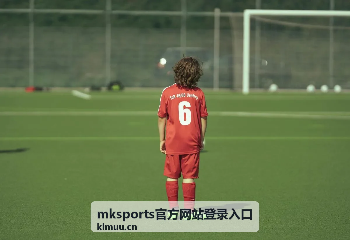 mksports官方网站登录入口规则与常见问题说明页面配图