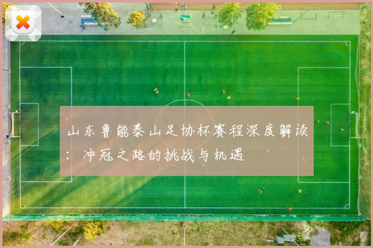 山东鲁能泰山足协杯赛程深度解读：冲冠之路的挑战与机遇