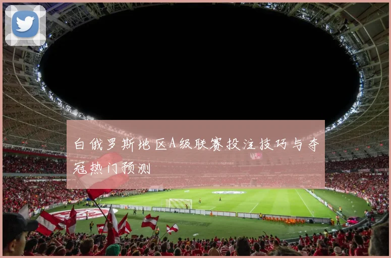 白俄罗斯地区A级联赛投注技巧与夺冠热门预测