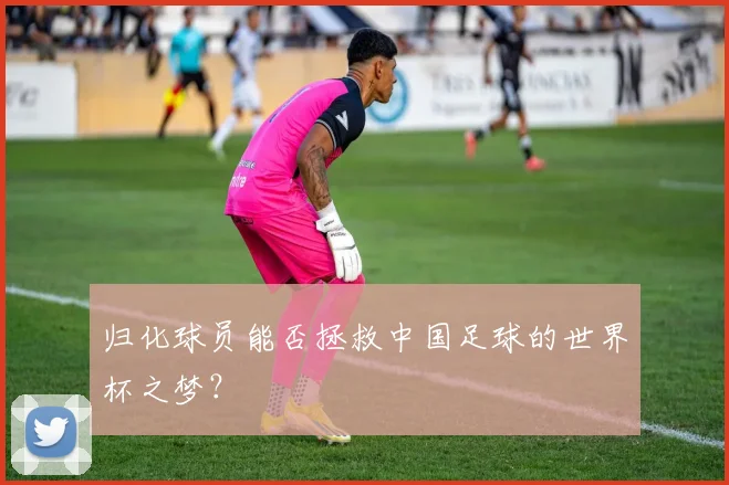 归化球员能否拯救中国足球的世界杯之梦?
