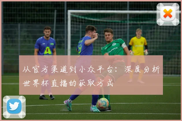 从官方渠道到小众平台：深度分析世界杯直播的获取方式