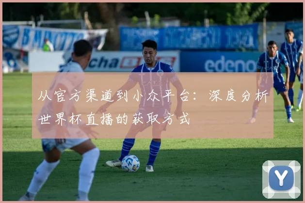从官方渠道到小众平台：深度分析世界杯直播的获取方式